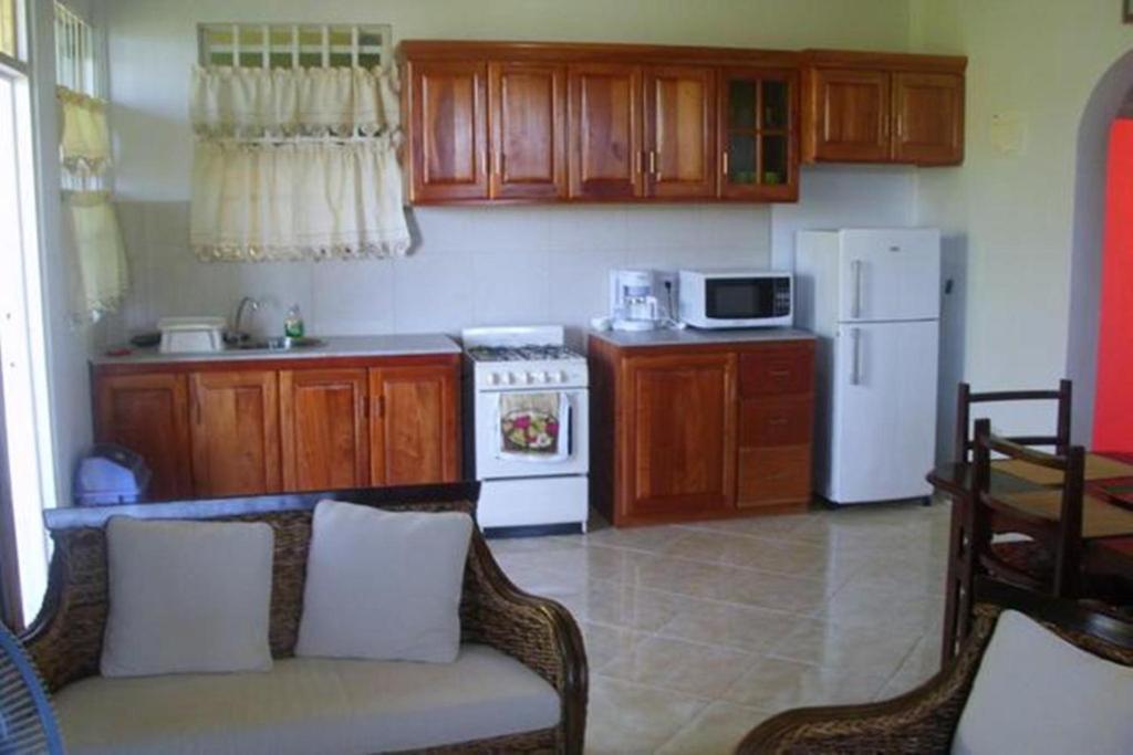 Corosol Apartments Roseau Habitación foto